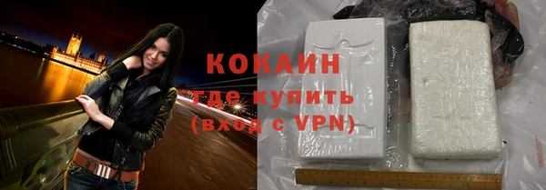 ПСИЛОЦИБИНОВЫЕ ГРИБЫ Новозыбков