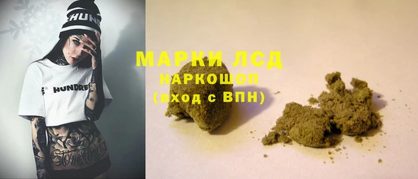ПСИЛОЦИБИНОВЫЕ ГРИБЫ Новозыбков