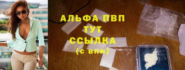 ПСИЛОЦИБИНОВЫЕ ГРИБЫ Новозыбков